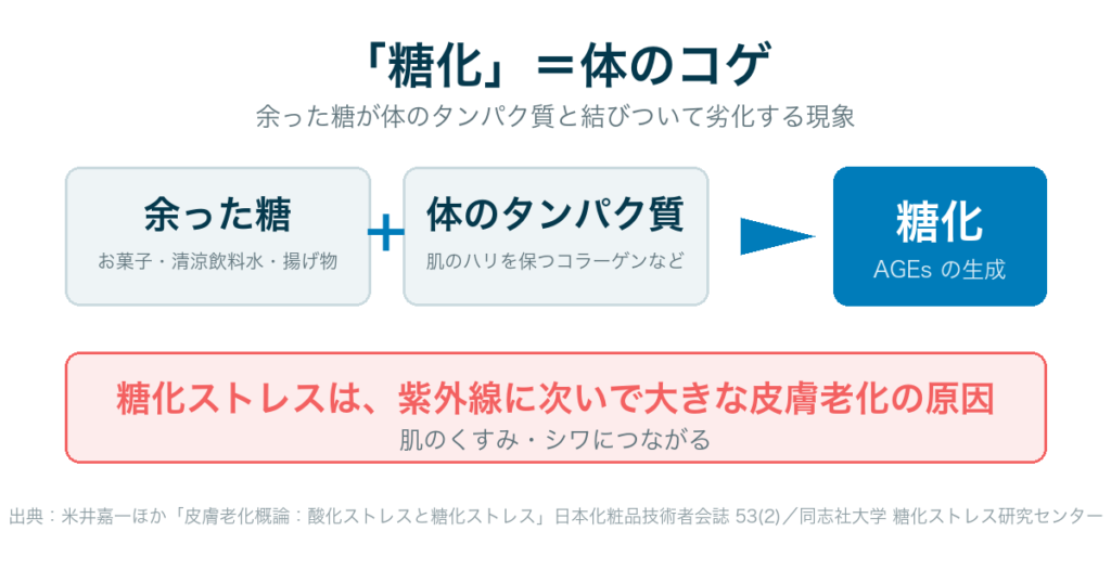 糖化の仕組み｜余った糖と体のタンパク質が結びつき、皮膚老化の原因になる
