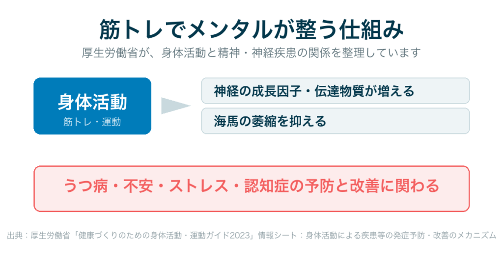 筋トレでメンタルが整う仕組み｜神経の成長因子が増え、うつ・不安・ストレスの予防に関わる