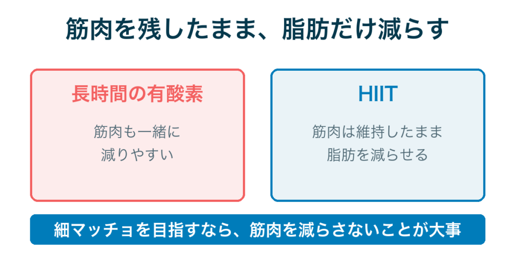 筋肉を残したまま脂肪を減らす｜長時間の有酸素との違い