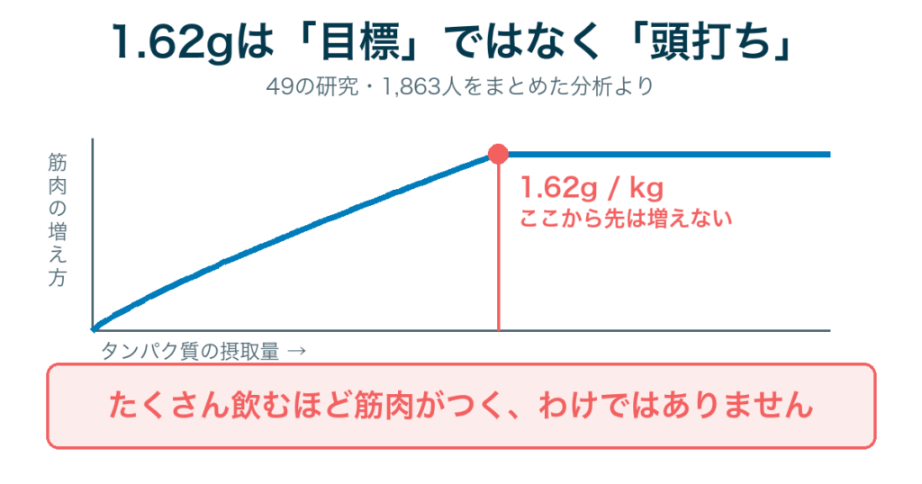 1.62gは目標ではなく頭打ちのライン。それ以上摂っても筋肉の増え方は変わらない