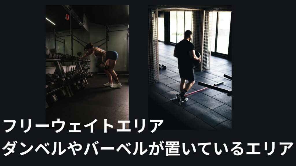 フリーウェイトエリア