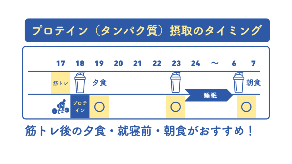 プロテイン摂取のタイミングのイメージ