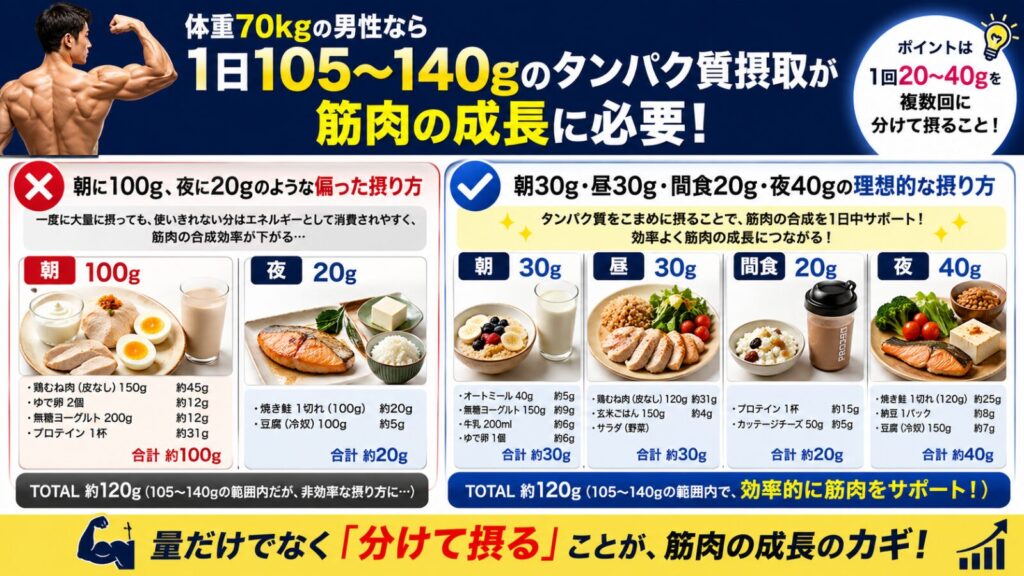 70kg男性に必要な1日105〜140gのタンパク質摂取量と、朝100g夜20gの偏った摂取より、朝30g・昼30g・間食20g・夜40gに分けて摂る方が筋肉成長に効果的であることを比較したインフォグラフィック