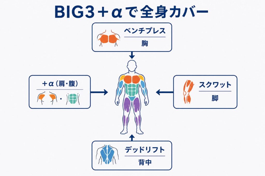 ジム初心者の超おすすめメニュー|BIG3+αで全身をカバーする図解