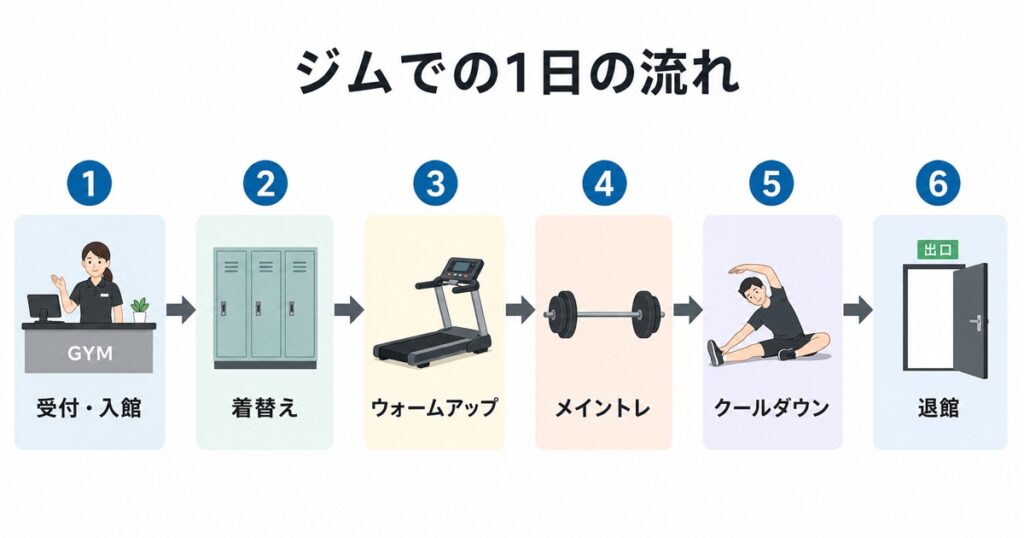 ジムでの1日の流れ|受付→着替え→ウォームアップ→メイントレ→クールダウン→退館