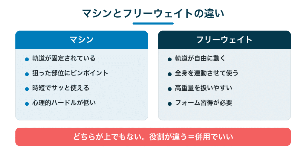 マシンとフリーウェイトの違い｜マシンは軌道が固定・フリーウェイトは自由に動く
